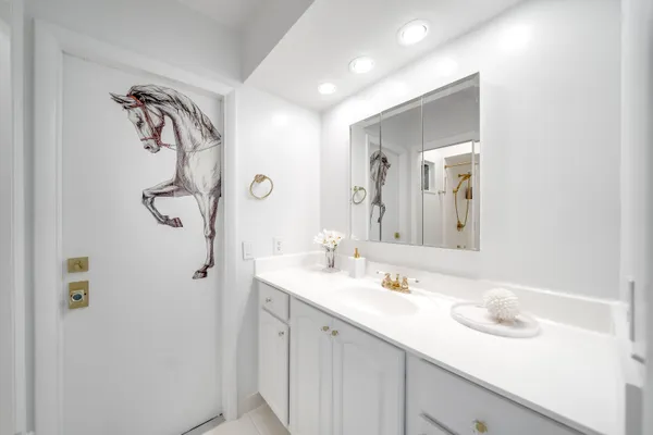 a bathroom with a sink vanity and a mirror
