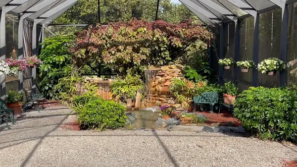 a view of a garden with flowers