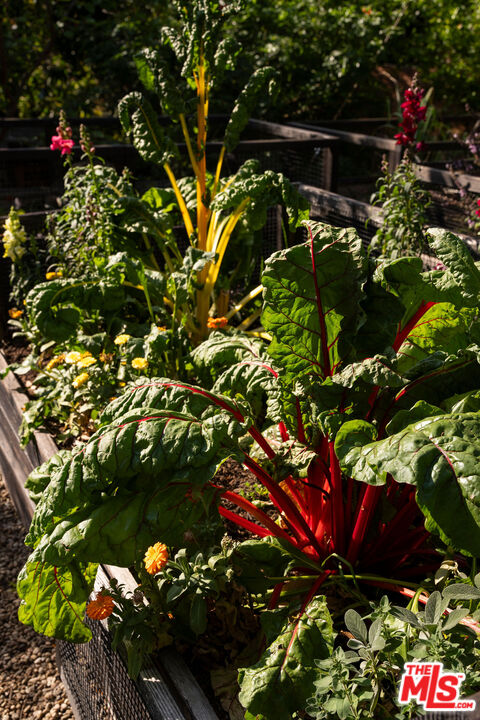 258 Redwood Drive Pasadena, CA 91105 - Photo 32 of 34