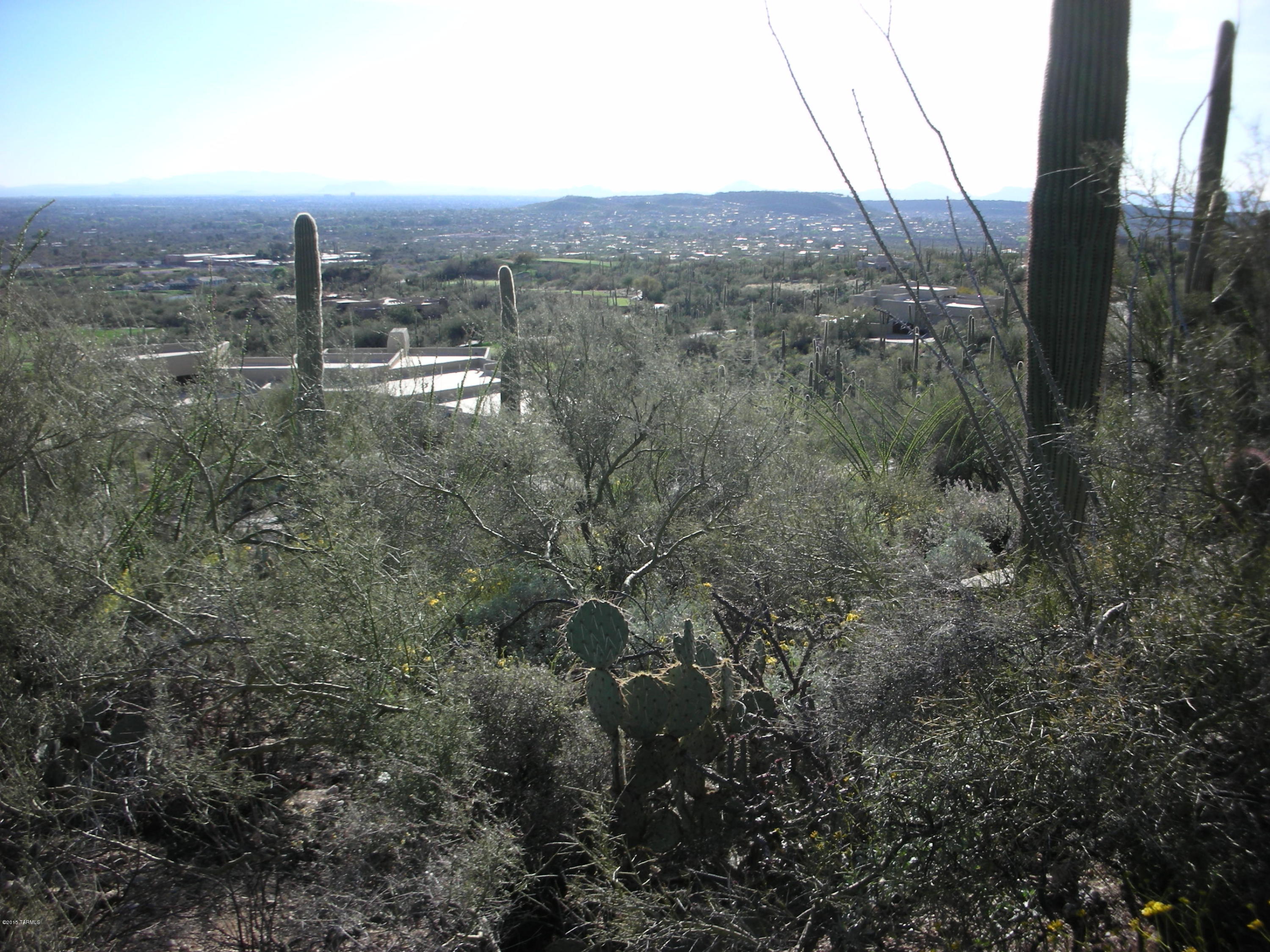 West Rhyolite Loop Tucson, AZ 85745 - Photo 3 of 12