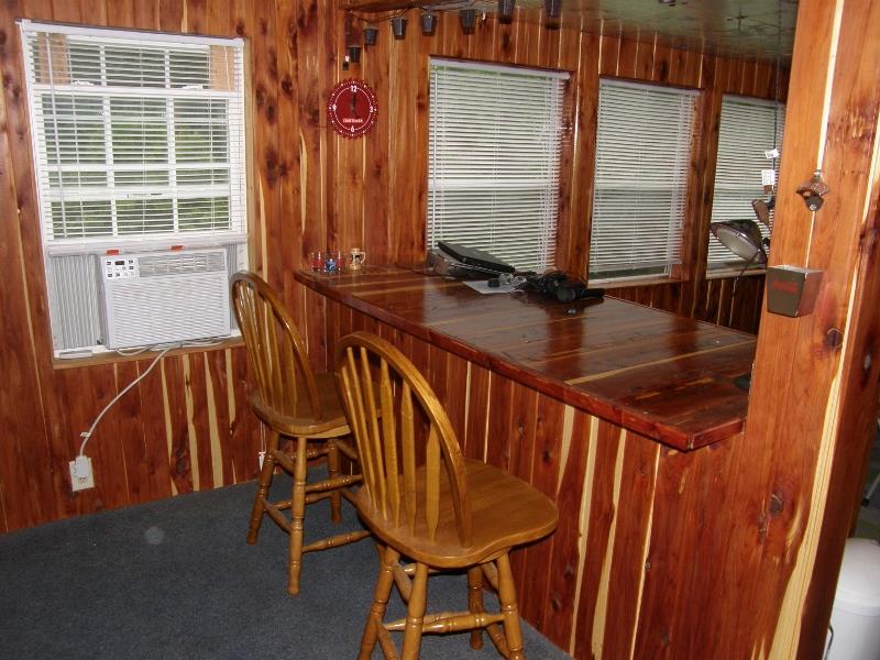 142 Victor Cabbage Road Hohenwald, TN 38462 - Photo 30 of 30 THE FLORIDA ROOM FEATURES MAINLY CEDAR WALLS AND A GREAT BAR AREA.