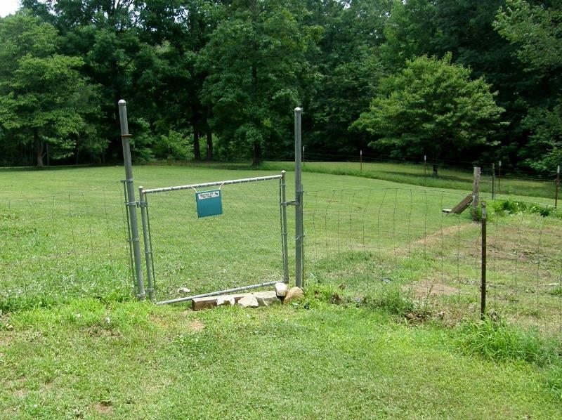 142 Victor Cabbage Road Hohenwald, TN 38462 - Photo 8 of 30 THE FENCED BACKYARD WOULD BE GREAT FOR PETS OR CHILDREN TO RUN AND PLAY.