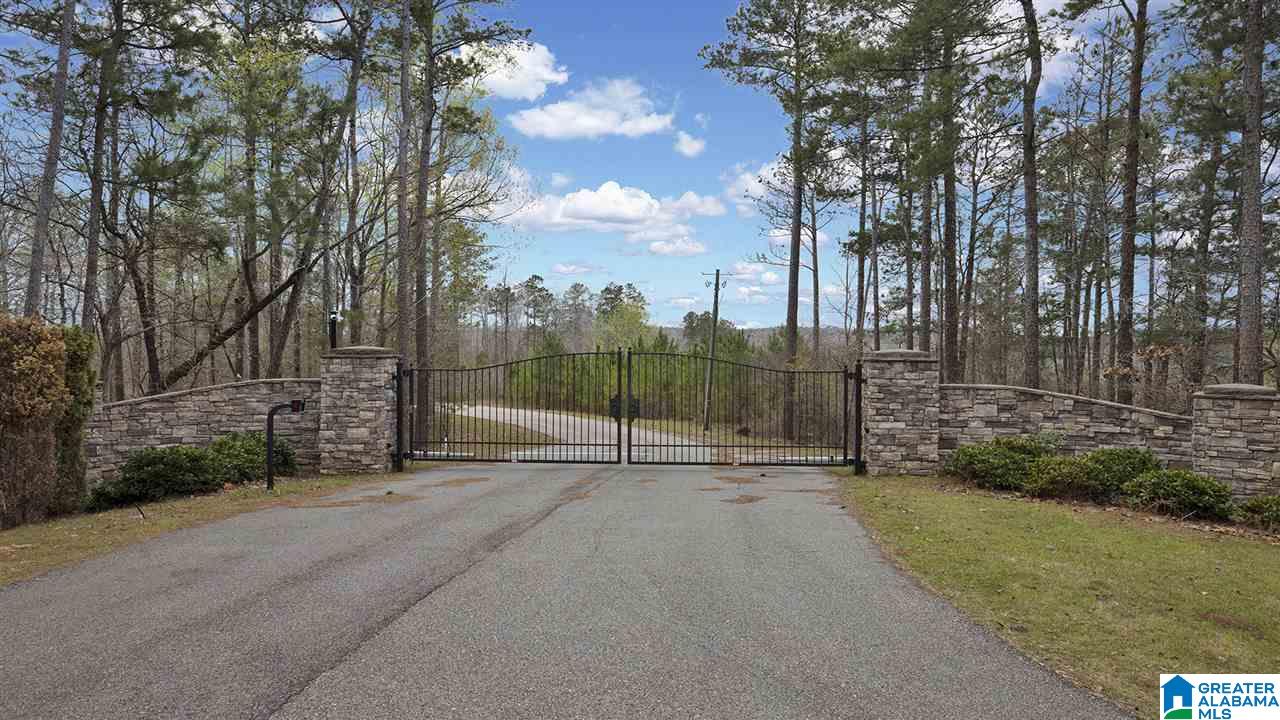 256 Big Y Cv Loop Rockford, AL 35136 - Photo 49 of 50