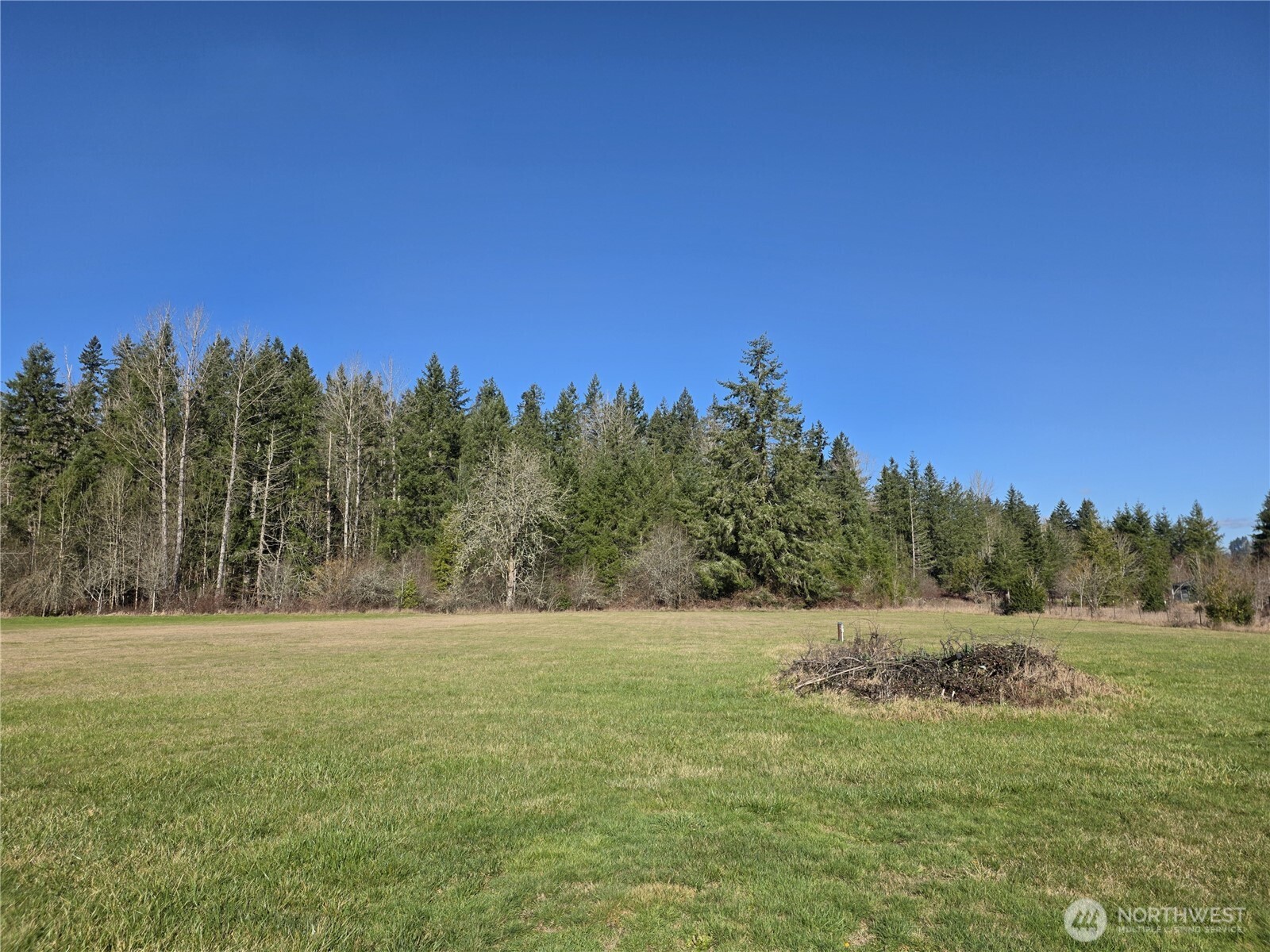 180 Salkum Road Salkum, WA 98582 - Photo 3 of 24