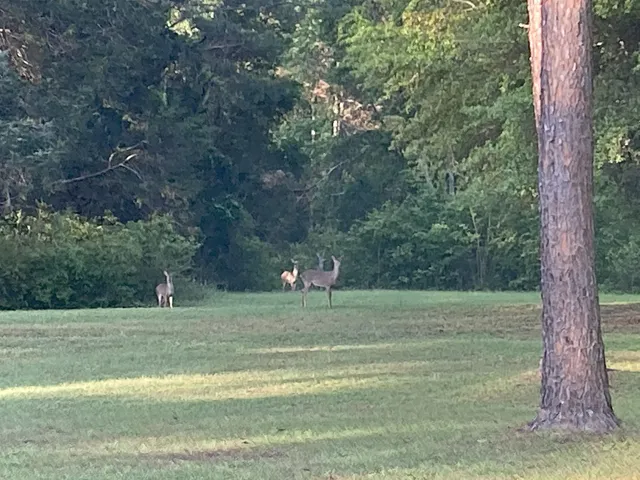 $695,000 | 9006 Chayes Lane, Tallahassee, FL 32309