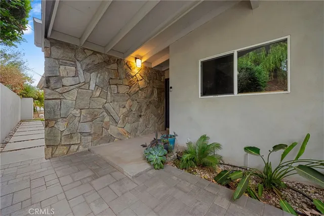 a potted plant sitting in front of a house