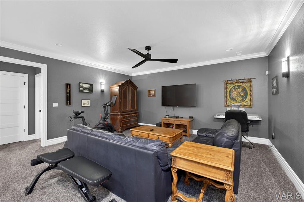 210 Luca James Point O'Fallon, IL 62269 - Photo 33 of 49