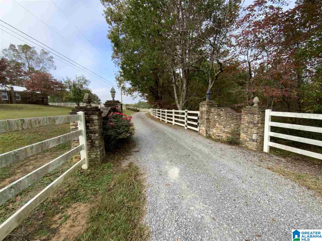 246 Ephesians Farm Road Oneonta, AL 35121 - Photo 12 of 49