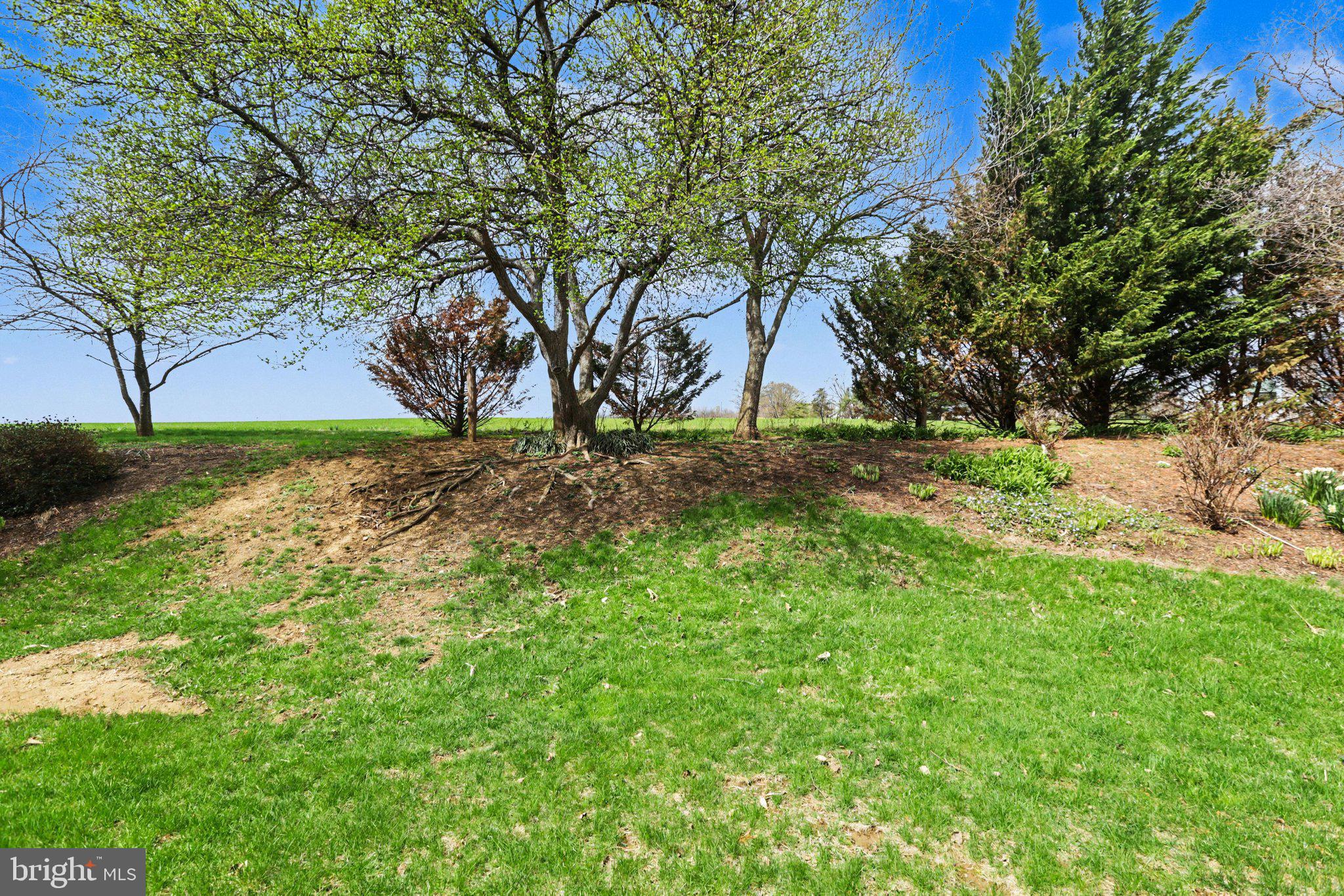 1829 Wexford Road Palmyra, PA 17078 - Photo 25 of 30