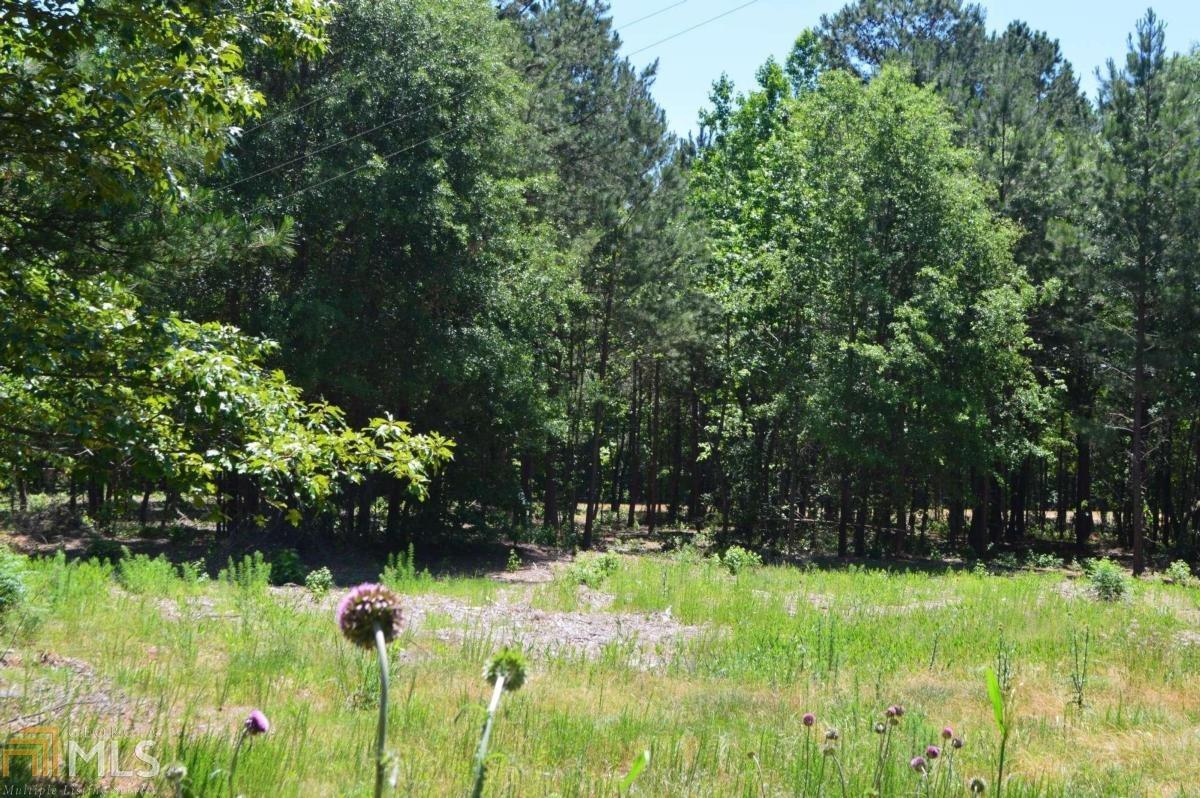 0 Union Church Road, Unit TRACT 2 Watkinsville, GA 30677 - Photo 1 of 1 Gallery Image 1