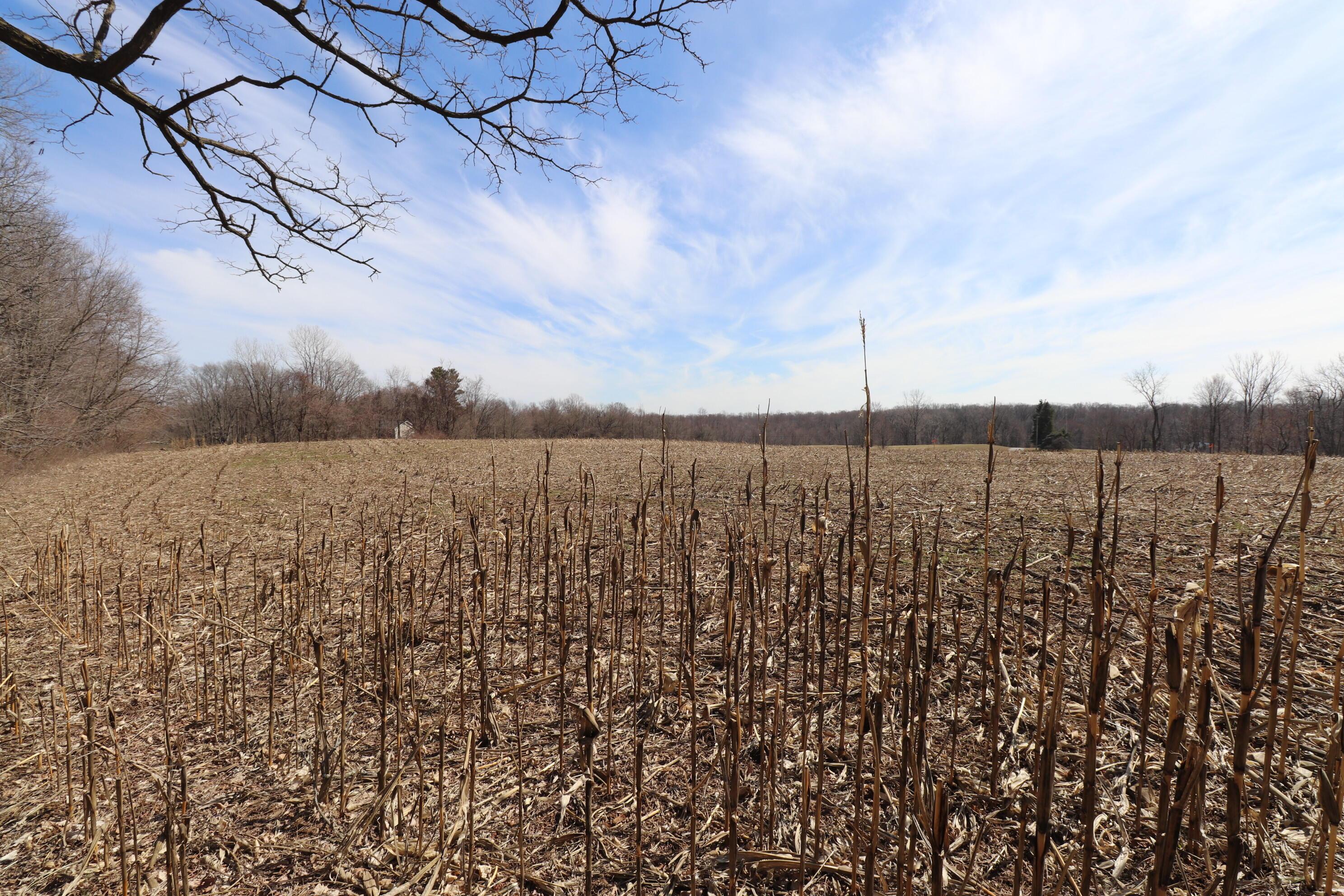 8 New Delaware Road Mount Vernon, OH 43050 - Photo 5 of 12 IMG_9708