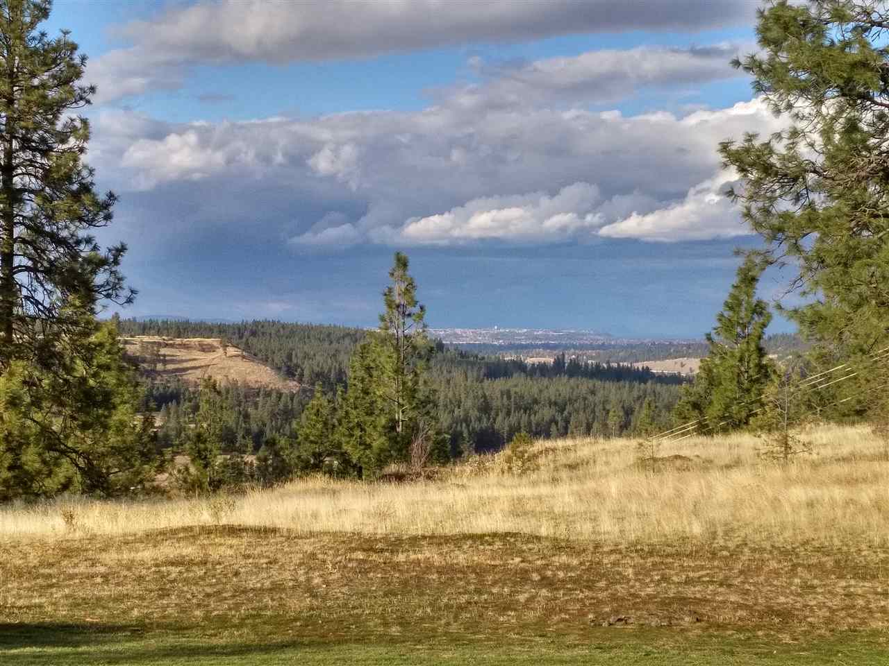 2206 West Borden Road Spokane, WA 99224 - Photo 2 of 20