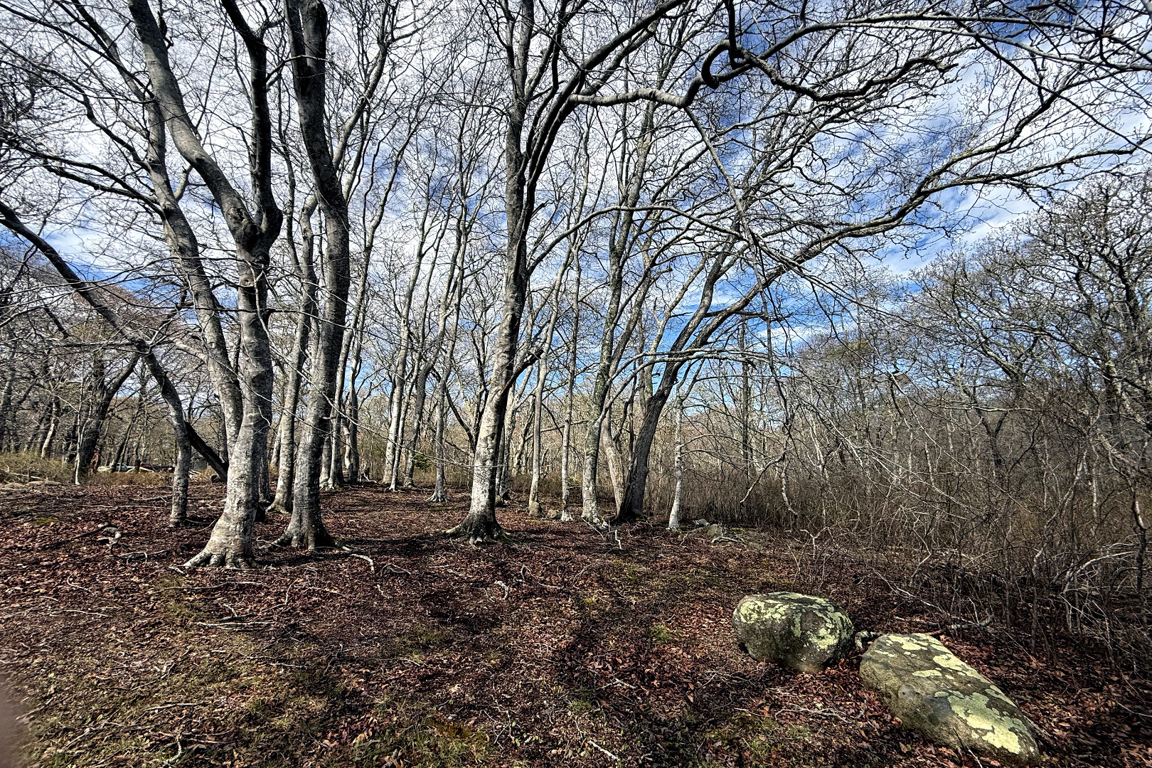 0 High Mark Road Chilmark, MA 02535 - Photo 3 of 8