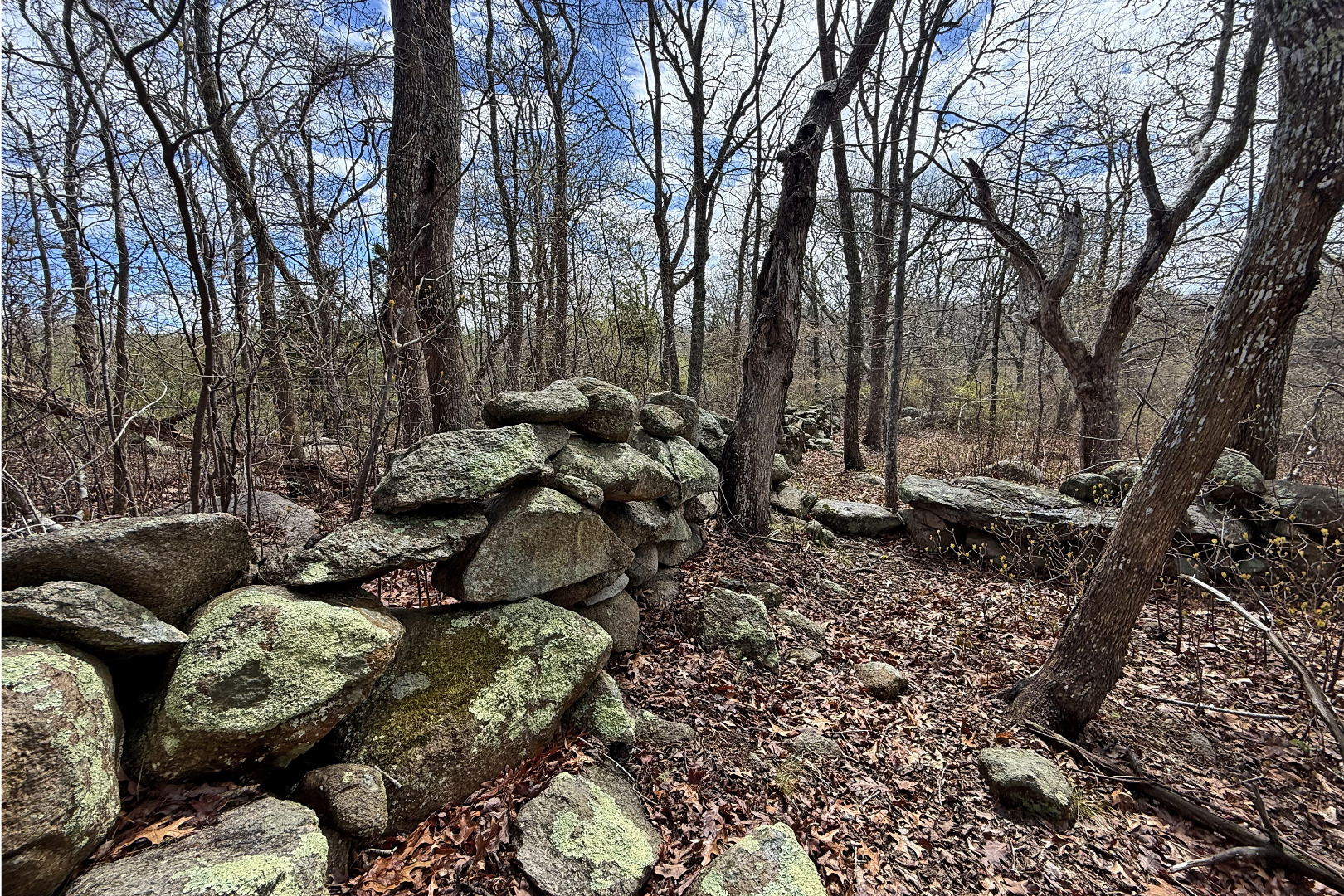 0 High Mark Road Chilmark, MA 02535 - Photo 7 of 8