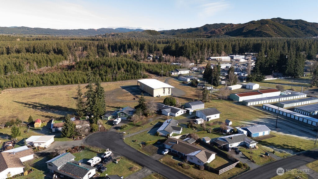 371 Flora Place Forks, WA 98331 - Photo 36 of 40 a view of a town with mountains in the background