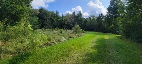 a view of backyard with green space