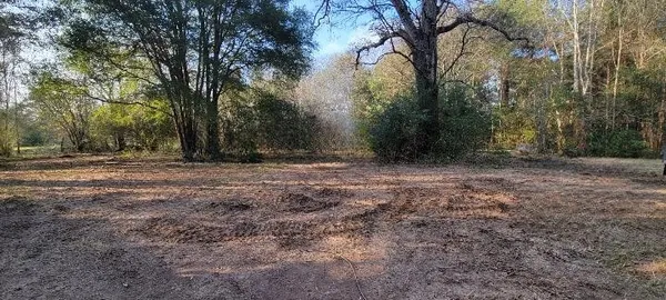 a black and white photo of a green field