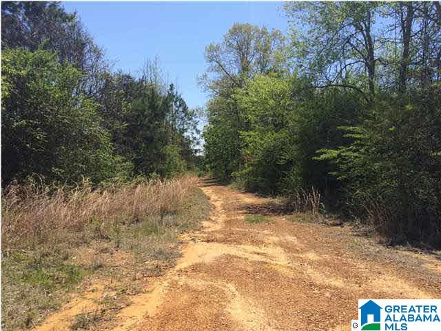 3980 Tanner Road, Unit 10 ACRES Dora, AL 35062 - Photo 3 of 8