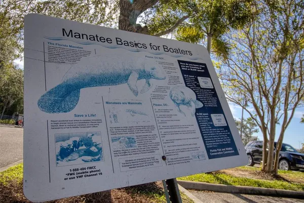 a view of a brick wall with a large tree