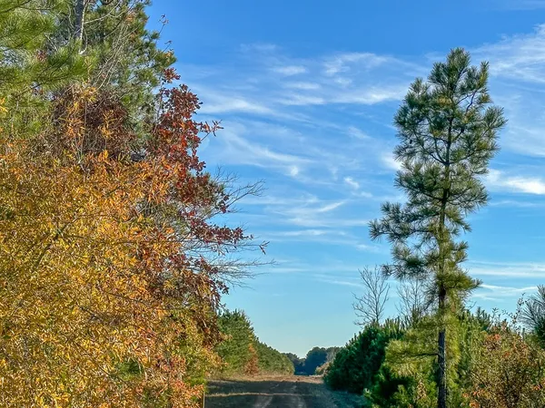 $559,358 | 0 Fm 2120, Bagwell, TX 75412