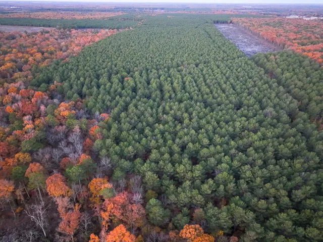 an aerial view of a houses with a yard