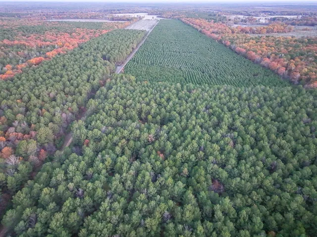 an aerial view of a houses with a lush green hillside