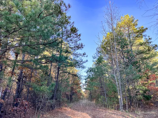 $559,358 | 0 Fm 2120, Bagwell, TX 75412