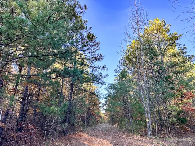 a view of a tree in front of a house