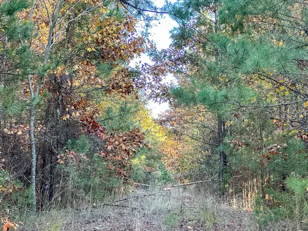 $559,358 | 0 Fm 2120, Bagwell, TX 75412