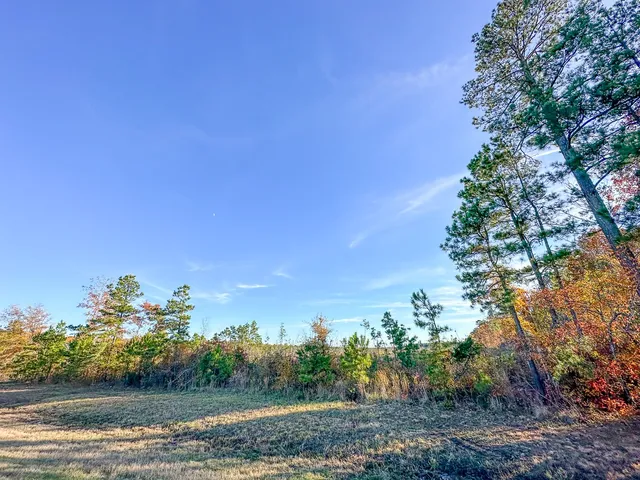 a view of a lake with houses in the background