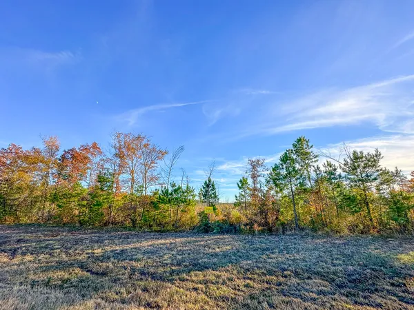 $559,358 | 0 Fm 2120, Bagwell, TX 75412