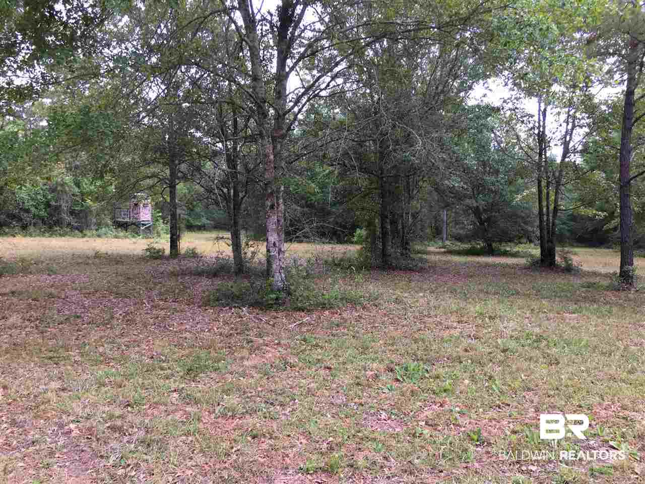 0 New Hope Church Road Robertsdale, AL 36567 - Photo 13 of 17