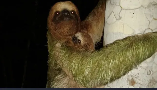 a view of an outdoor sitting area