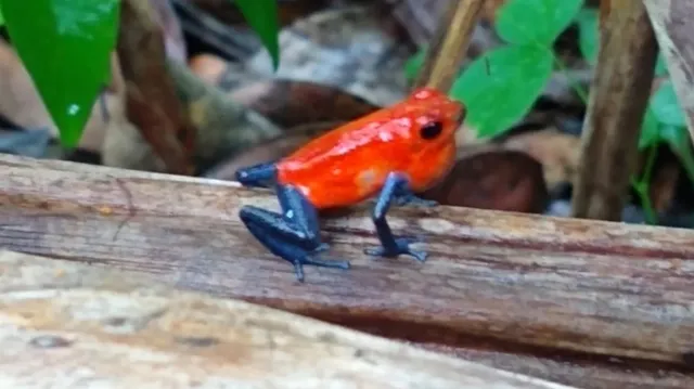 a front view of a building with outdoor seating