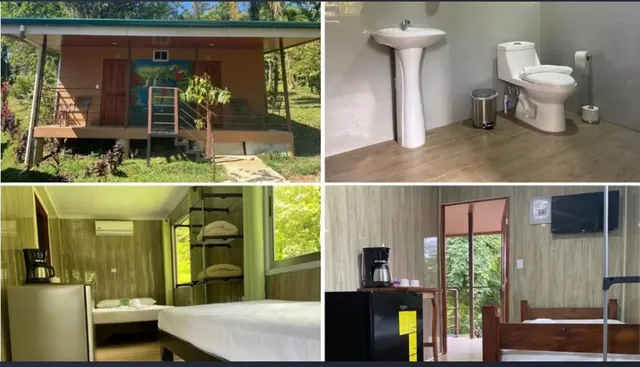 a close up of a plant in a garden