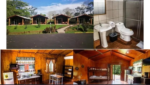 a view of a yard with plants and a bench