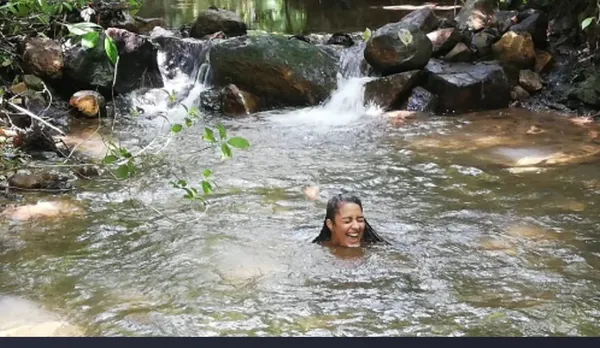 a view of a swimming pool