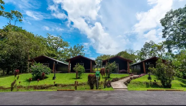 a front view of house with garden