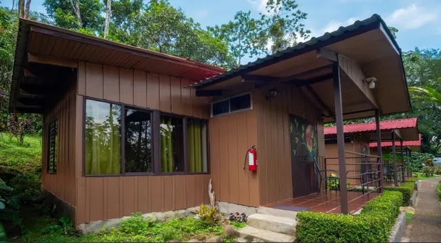 a view of a backyard of the house