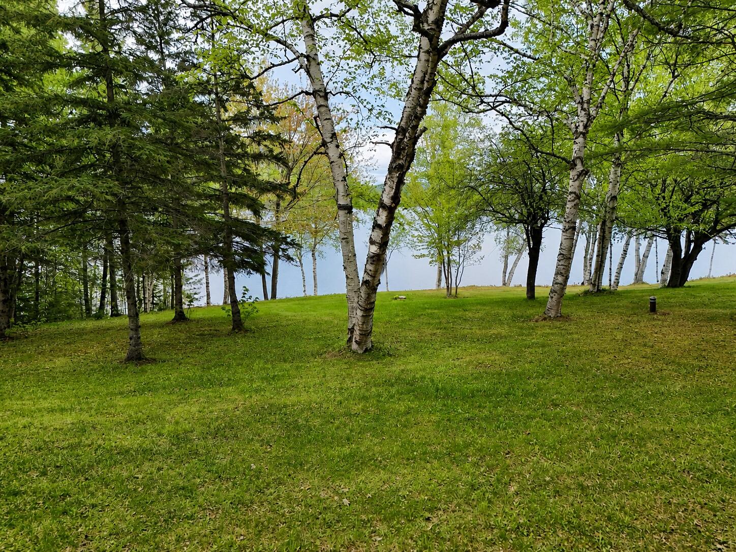 Lot 1 Hardscabble Road Rockwood, ME 04478 - Photo 3 of 16 field4