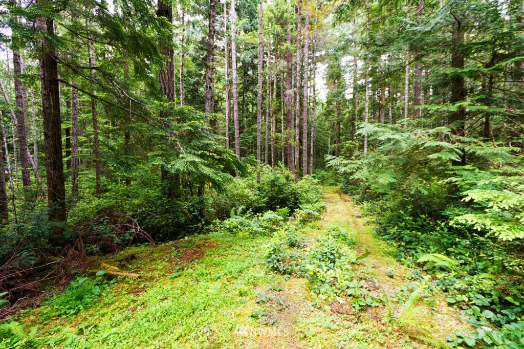 18953 Northwest Stavis Bay Road Seabeck, WA 98380 - Photo 22 of 24 Gallery Image 22