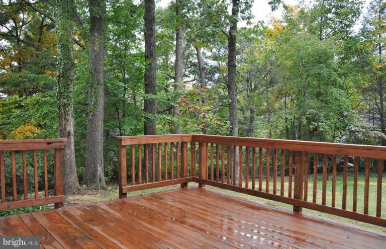 5316 Waneta Road Bethesda, MD 20816 - Photo 6 of 29 Deck