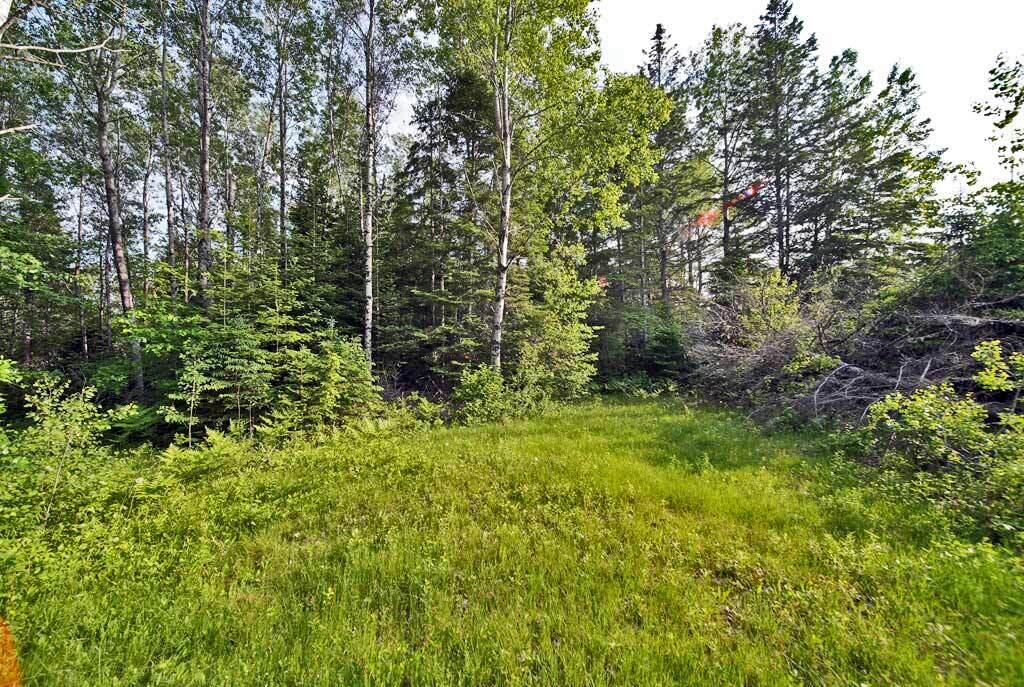 2236 Bancroft Road Bancroft, ME 04497 - Photo 30 of 40 maine-land-river-lot