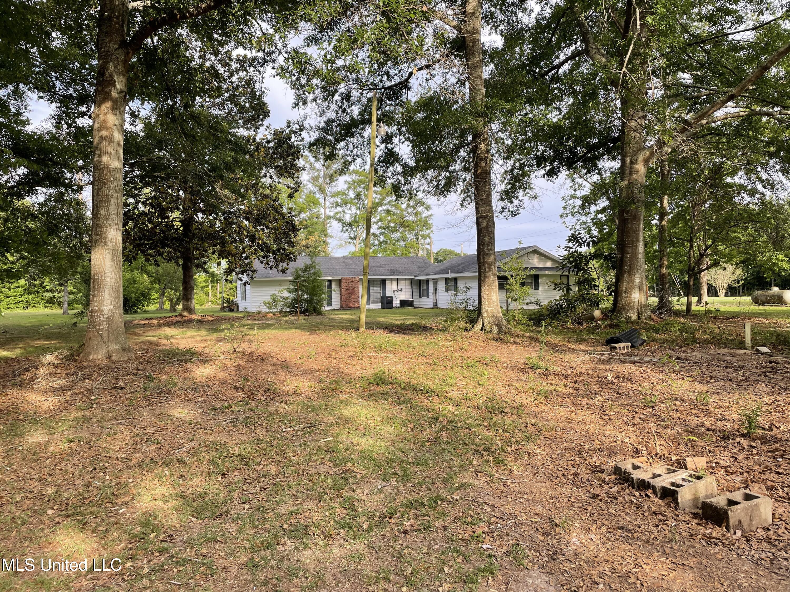 250 George Mitchell Road Carriere, MS 39426 - Photo 5 of 15 IMG_9974