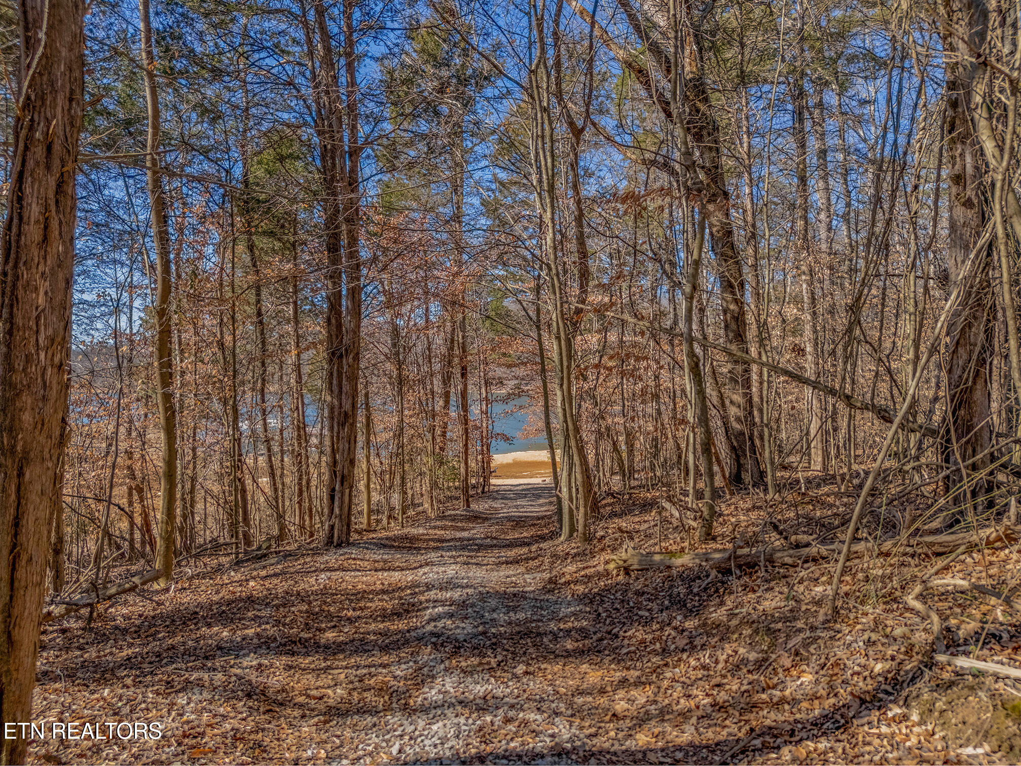 1150 Sequoyah Road Andersonville, TN 37705 - Photo 41 of 45 DJI_20260214005458_0273_D-HDR