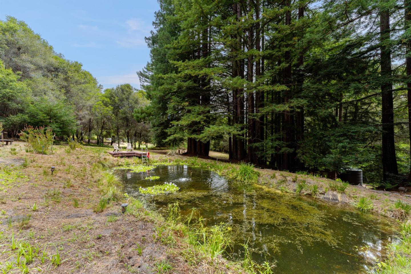 900 Larsen Road Aptos, CA 95003 - Photo 81 of 91