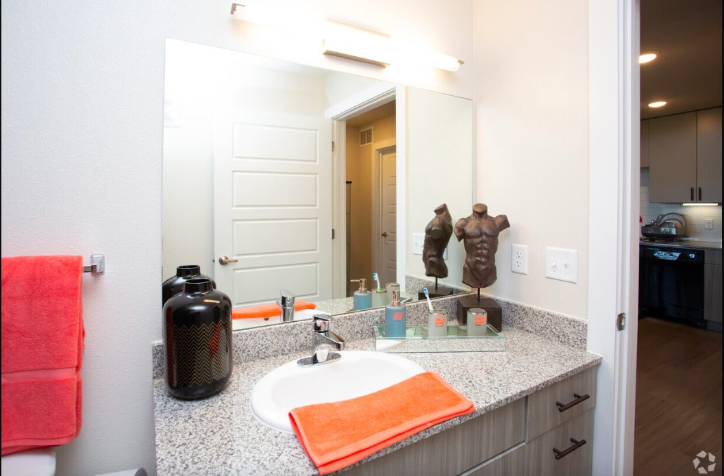1800 South I- 35 Service Road Austin, TX 78748 - Photo 12 of 21 a bathroom with a sink and mirror
