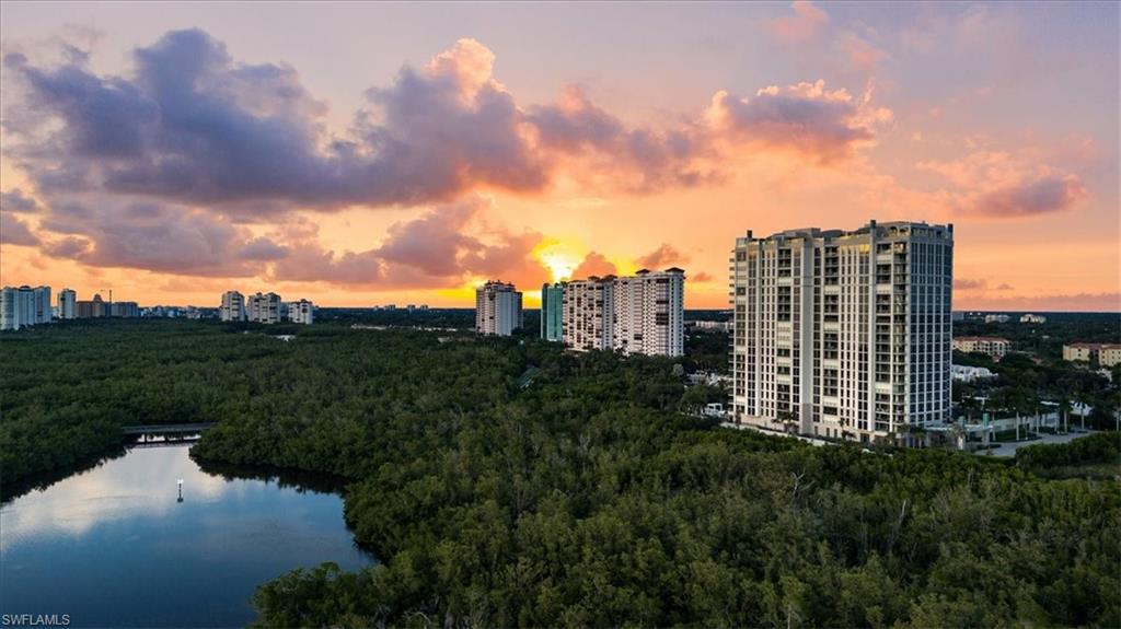 6897 Grenadier Boulevard, Unit 1701 Naples, FL 34108 - Photo 50 of 50 a view of a city with tall buildings
