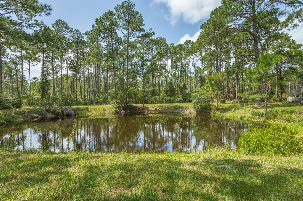 360 River Road Carrabelle, FL 32322 - Photo 39 of 48 Gallery Image 39