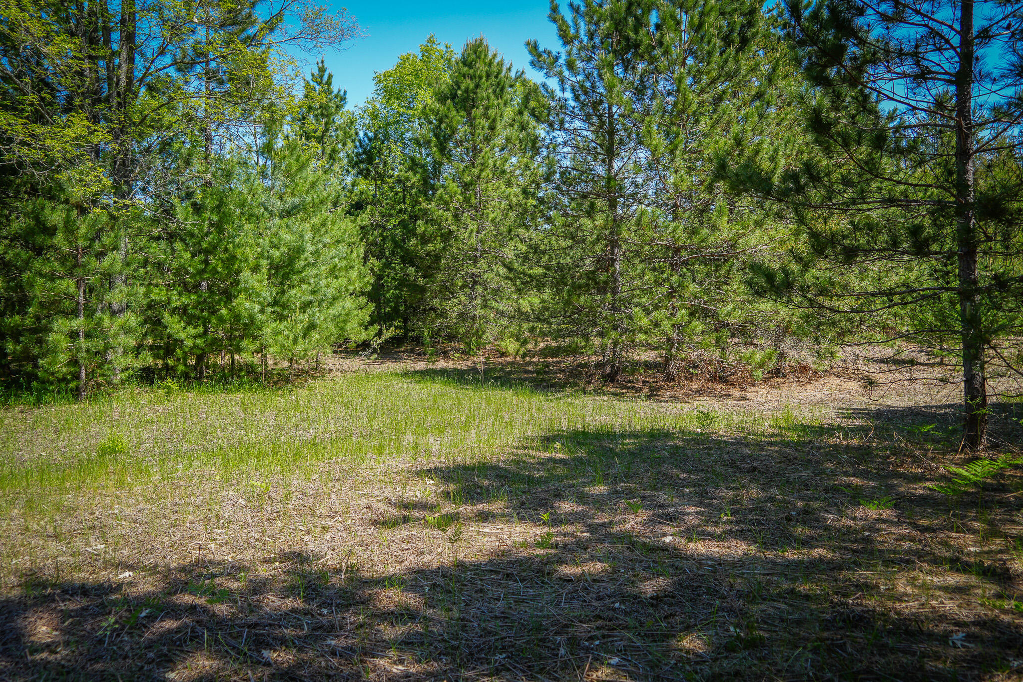 Parcel A Makinen Road Kaleva, MI 49645 - Photo 25 of 29 DSC00261